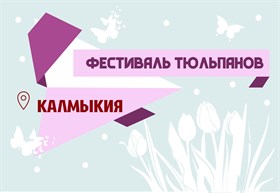 Фестиваль тюльпанов в Калмыкии!