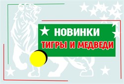 Новинки! Сувенирные магниты с хрусталем! 