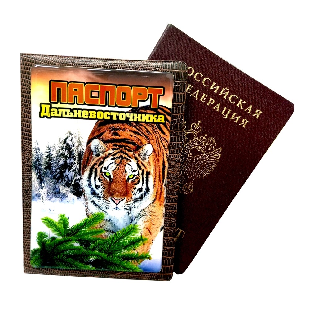 Обложка на паспорт с декором