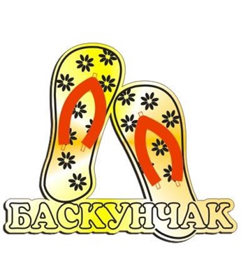 Магнит зеркальный Сланцы с символикой Баскунчака - фото 43840