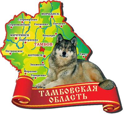 магнит цветной Тамбов Карта с волком - фото 44629