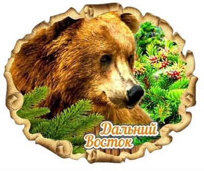 Купить магнитик из дерева Дальний Восток овальный свиток Медведь 1 - фото 46125