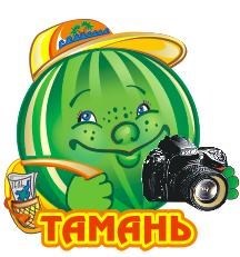Магнит Арбузик с фотоаппаратом и символикой Тамани - фото 48541
