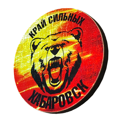 Значок сияние Хабаровск медведь круг 31271 - фото 85176