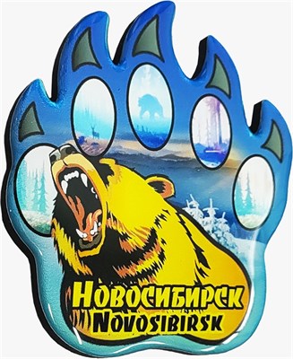 Магнит со смолой Лапа с медведем Новосибирск 31361 - фото 85914