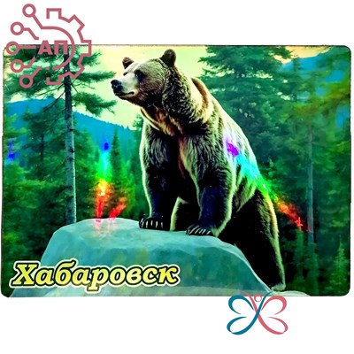 Картина на магните Медведь 1 Хабаровск 31803 - фото 87792