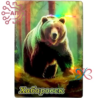 Картина на магните Медведь 4 Хабаровск 31808 - фото 87802