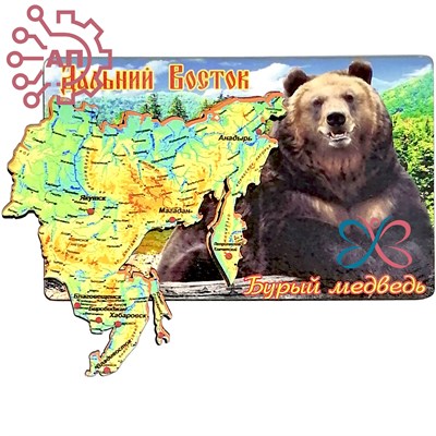 Магнит II Прямоугольник Медведь с картой Дальний Восток FS007208 - фото 89938