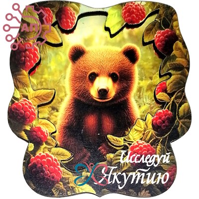 Магнит II "Исследуй" Медведь в малине Якутия, Якутск 33885 33885 - фото 94832