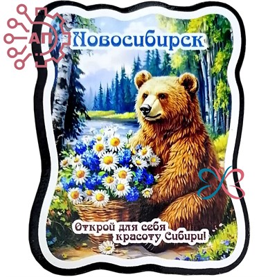 Магнит I Стикер Медведи Новосибирск 34083 34083 - фото 95772