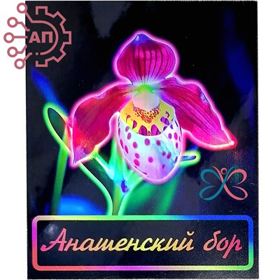 Магнит I Неон Прямоугольник Венерин башмачок Красноярск, Анашенский бор 34157 34157 - фото 96048