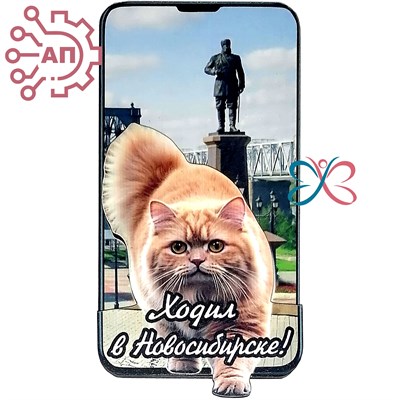 Магнит II Экран вертикальный с рыжим котом Новосибирск 34189 34189 - фото 96146