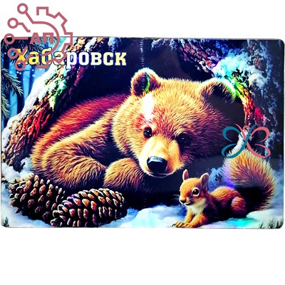 Картина на магните Медвежонок с белкой Хабаровск 34356 34356 - фото 96595