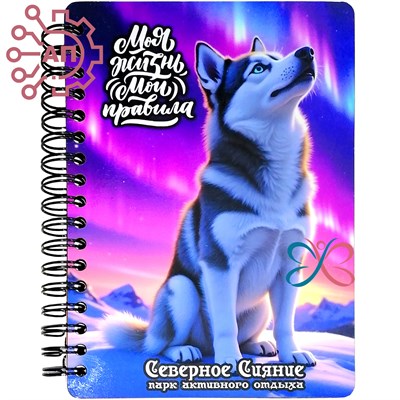 Блокнот А6 цветной Хаски Северное сияние Мурманск 34569 34569