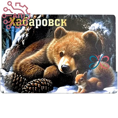 Магнит II Медвежонок с белкой Хабаровск 35089 35089