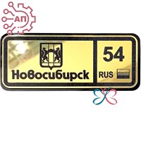 Магнит II зеркальный на пластике (Ш) Номер региона Новосибирск 35110 35110