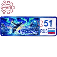 Магнит I Номер региона киты Мурманск FS002886 FS002886