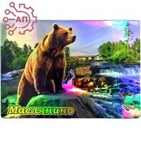 Картина на магните Медведь Маслянино, Новосибирская область 27830 27830