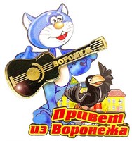 Магнит "Кот с гитарой" г.Воронеж