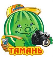 Магнит Арбузик с фотоаппаратом и символикой Тамани