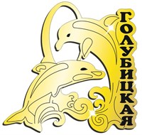 Магнит зеркальный Дельфины на волне с символикой Голубицкой