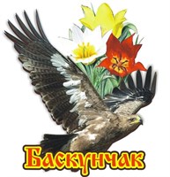 Магнит Тюльпан-орел Баскунчак