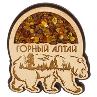 Магнит с янтарем Медведь вид 1 Горный Алтай 28511