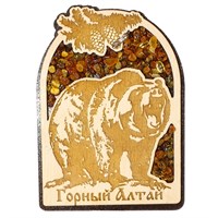 Магнит с янтарем Медведь вид 2 Горный Алтай 28512