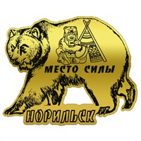 Сувенирный зеркальный магнитик Медведь с символикой Вашего города