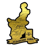 Магнит II зеркальный на пластике Карта Надым FS004664 FS004664