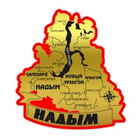 Магнитик зеркальный на цветной подложке Карта вид 2 с символикой Надыма