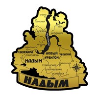 Магнит II зеркальный на пластике Карта на ленте Надым FS004665 FS004665
