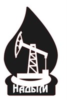 Магнит пластик 2-хслойный Капля нефти с нефтекачалкой и символикой Надыма