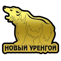 Магнит II зеркальный на пластике Медведь Новый Уренгой FS000622 FS000622