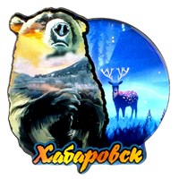 Сувенирный магнит со смолой Медведь вид 9 с символикой Вашего города
