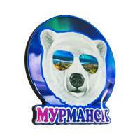 Магнитик медведь в очках Мурманск смола 31170