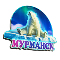 Магнитик медведь лед смола Мурманск 31173