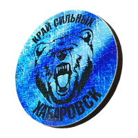 Значок сияние Хабаровск медведь круг 31263