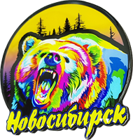 Магнитик смола медведь круг лес Новосибирск 31340