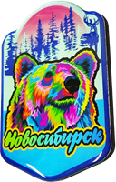 Магнитик смола медведь квадрат лес Новосибирск 31341