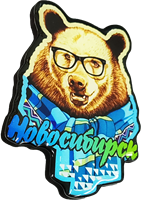 Магнитик смола медведь очки Новосибирск 31346