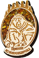 Магнитик янтарь овал медведь лес Новосибирск 31368