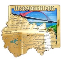 Магнит зеркальный с видами Новосибирск 31568