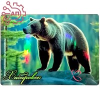 Картина на магните Медведь 3 Хабаровск 31805