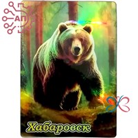 Картина на магните Медведь 4 Хабаровск 31808