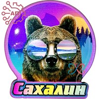 Магнит со смолой Медведь в очках в круге Сахалин 29846