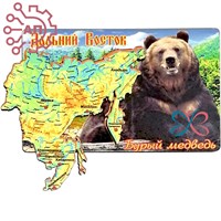 Магнит Прямоугольник Медведь с картой Дальний Восток FS007208