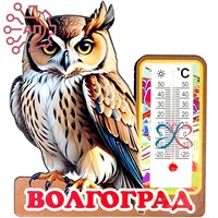 Магнит I Сова с термометром Волгоград 32610