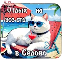 Магнит II Стикер серия "Коты" вид 25 Седово, ДНР 32754 32754