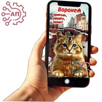 Магнит II Экран с рукой Кот Воронеж 33269 33269